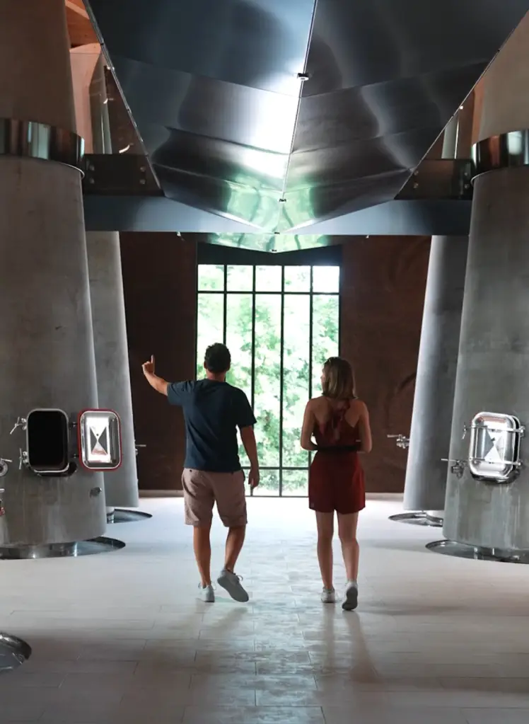 Dégustation vins à saint Emilion